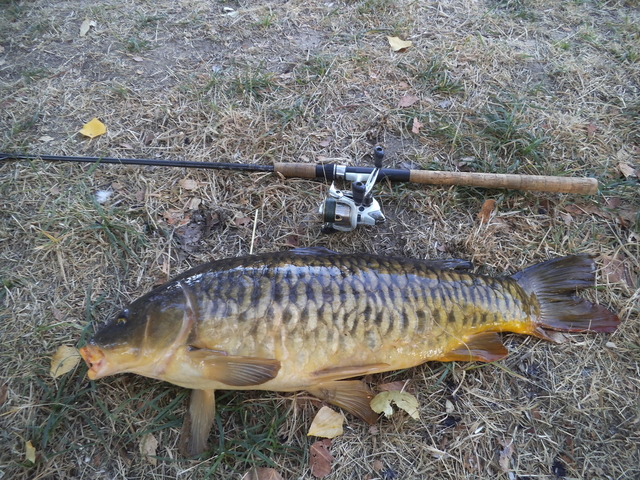 https://www.petit-pecheur.net/media/carp-stalking-18.08.2021/DSCF6100.JPG