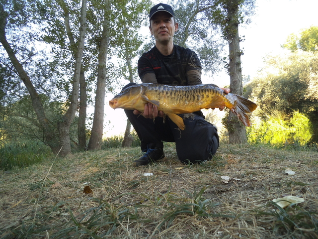 https://www.petit-pecheur.net/media/carp-stalking-18.08.2021/DSCF6102.JPG