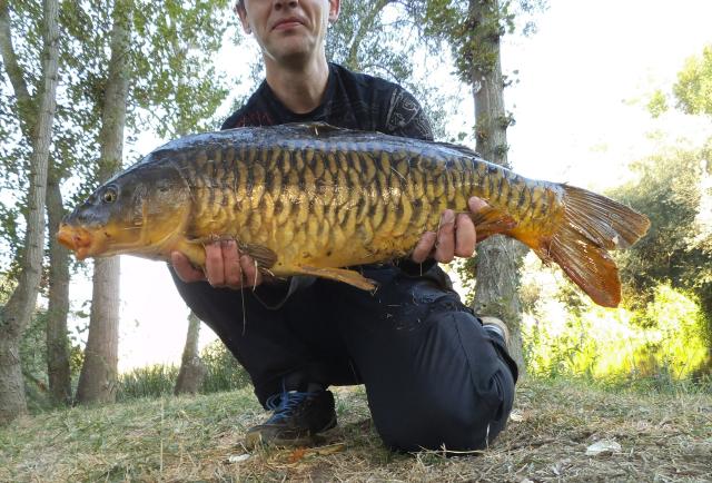 https://www.petit-pecheur.net/media/carp-stalking-18.08.2021/DSCF6104.JPG