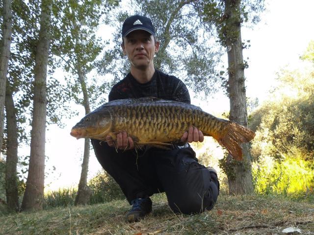 https://www.petit-pecheur.net/media/carp-stalking-18.08.2021/DSCF6105.JPG